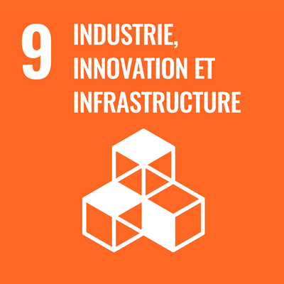 Industrie, innovation et infrasctructure.