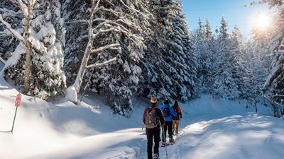 Randonnée en raquettes dans les forêts de Charmey