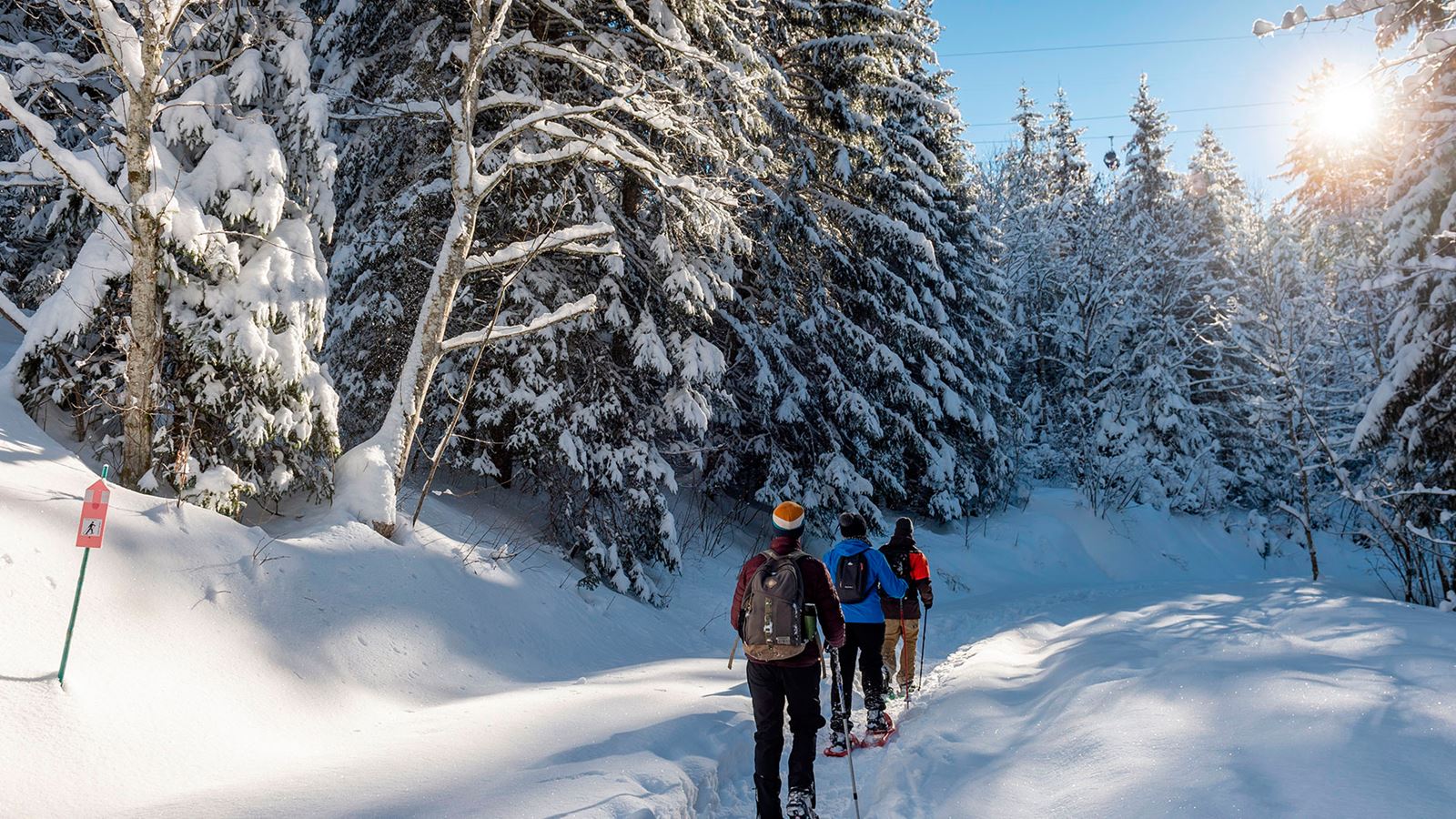 Randonnée en raquettes dans les forêts de Charmey