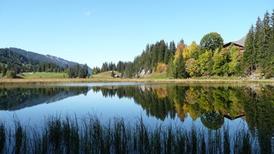 View of Lake Lauenen and colourful trees