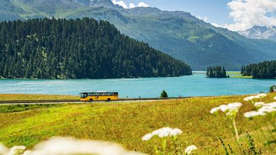 A Postbus travels along Lake Silser. © Yanik Bürkli