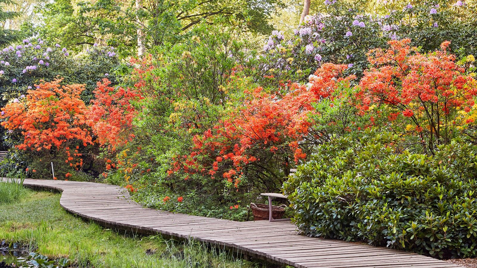 Bridge in Seleger Moor Park. ©Park Seleger Moor