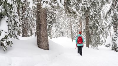 Person beim Winterwandern durch den Wald