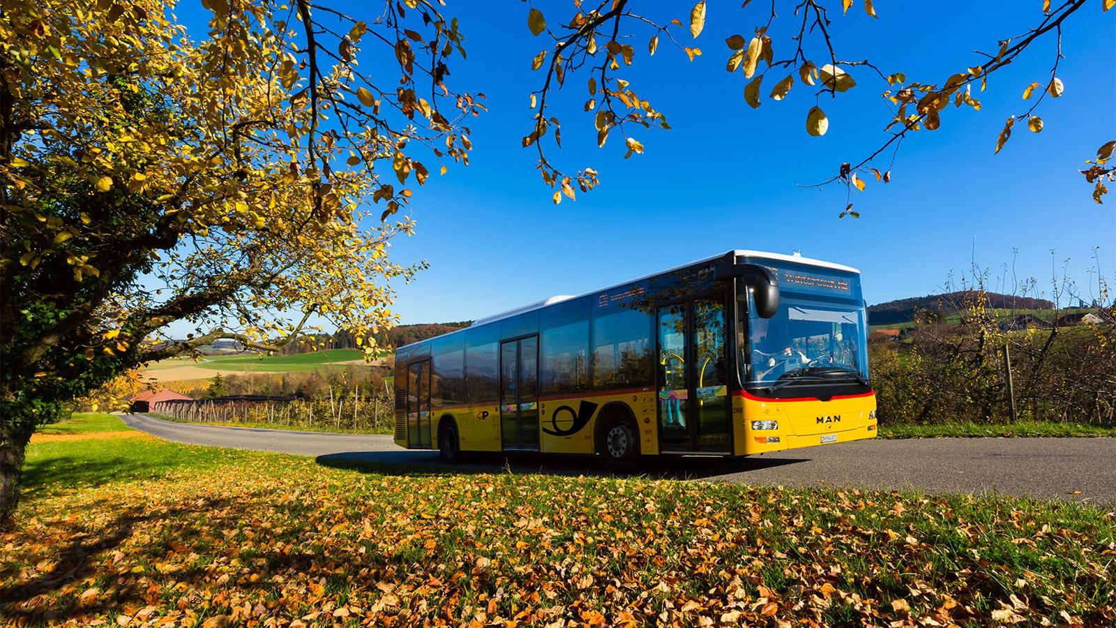 A yellow Postbus travels in Volken along a road with colourful autumn foliage.