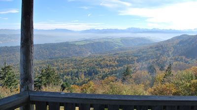 Vista dalla torre Hochwach dell’Albis sul paesaggio forestale