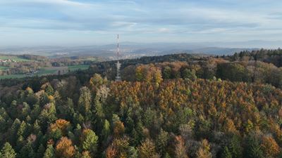 Vista sulla torre Irchel e sul variopinto bosco autunnale lungo l’escursione da Pfungen intorno all’Irchel