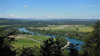 Vista sul Reno e il verde paesaggio lungo l’escursione dal Tössegg alla fortezza di Ebersberg