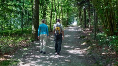 A woman with a blue jumper and light trousers, and a man with black trousers and a backpack hiking through a shaded forest.