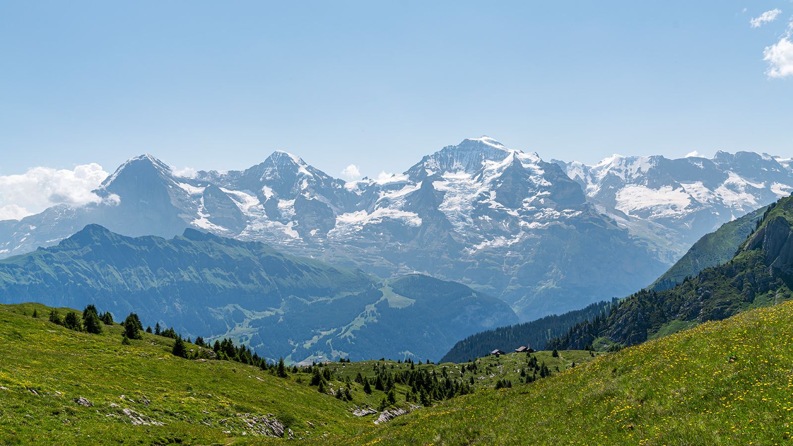 Sommerliche Alpenwiese in Saxeten mit Berge im Hintergrund